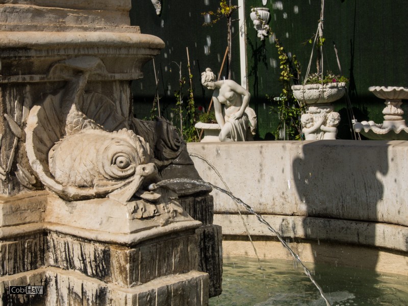 פסלי דגים מקיפים את בסיס המזרקה